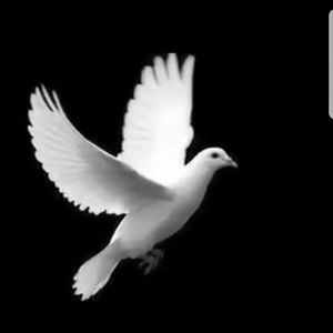 Meet your Posher, Marcela